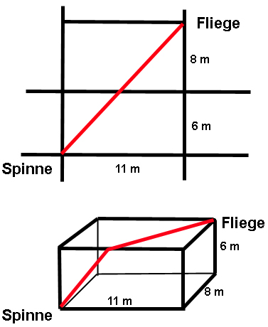 Spinne2.jpg